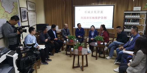 大同長城保護條例 文化沙龍第三期共獻良策，藝術活動策劃為保護賦能